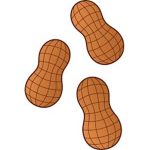 joeyz peanuts