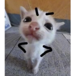 ...ha...