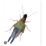 The baddie roach club