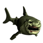 Felix the Shark