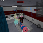 Bunnies United Jr