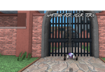 The Tiniest Players Of Roblox