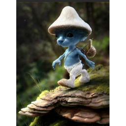The smurf cat pvp