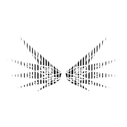 Black Animated Wings Roblox item