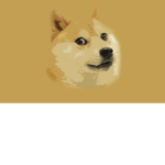 Doge labs : Reboot