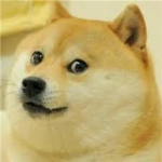 Doge Productions