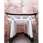 pe4enka_oficiall