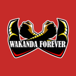 The Black Panther Group