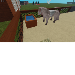 Horse ranch 🐎