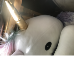 The UNICORN club567