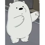 ∫bears∫