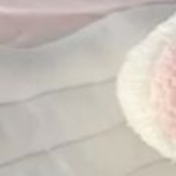 ꒰ᐢ. .ᐢ꒱