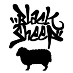 The Black SHEEP Squadron