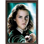 Hermione_Grangers club