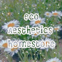 Eco Aesthetics Homestore