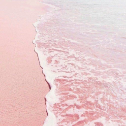 𝓛𝓲𝓴𝓮