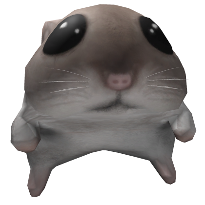 Hamster Hat