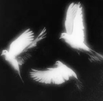 BANNER X GOD