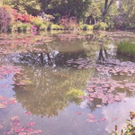 Ethereal Haven