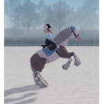 XXSunny equestrian