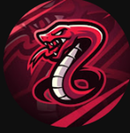 vipermaster youtube group