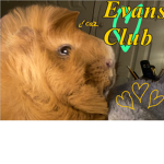 Evan s club