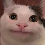 SkipperFox