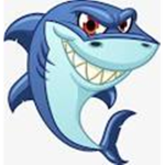 official sharky designs