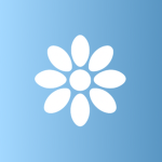Bloom Customs | Design