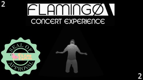 Flamingo Concert Experience 2