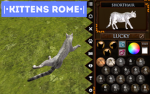 |•KITTENS ROME•|