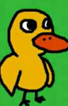 Quack’s group