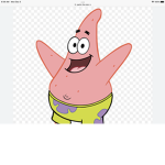 The patric army