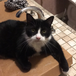 Cousins for the win