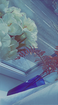 STAR_BOX