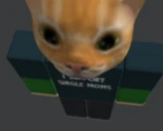 Cat Man Boxing Gym