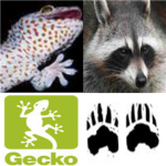 The Masked Raccoons and Covert Geckos