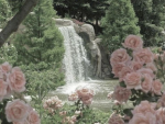 - forest of fairies -