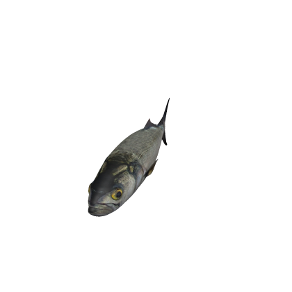 Fish Sword: Blue Fish