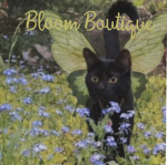 || ' Bloom Boutique !! ' ||