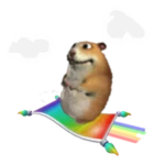 Magic Carpet Chomik