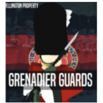 Best of the best Queens Guards