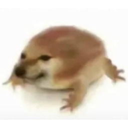 What The Dog Doing Obby