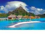 ONLY CARIBBEANS
