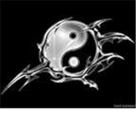 ~Yin yang~