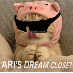 ARI’S DREAM CLOSET