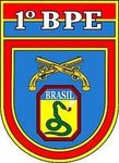 •BPE•