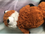 Fox Fans made by:Foxgirl1122345