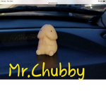 MR CHUBBY