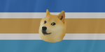 Doge Corp,